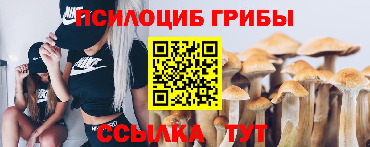 Галлюциногенные грибы MAGIC MUSHROOMS Гусь-Хрустальный
